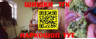Альфа ПВП Гатчина