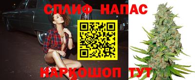 Альфа ПВП Гатчина