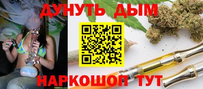 Альфа ПВП Гатчина