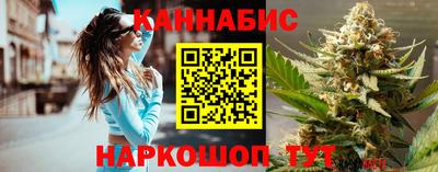 Альфа ПВП Гатчина
