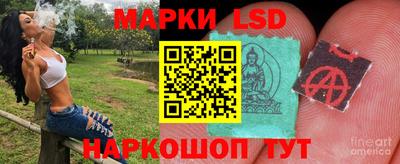 молекула духа Будённовск