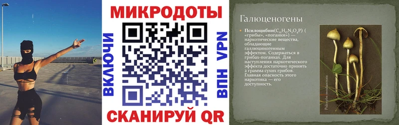 Галлюциногенные грибы GOLDEN TEACHER  как найти   Новосибирск 