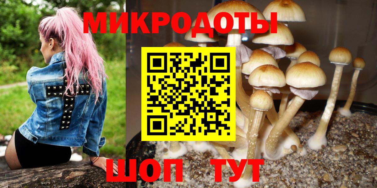 Галлюциногенные грибы мухоморы Новосибирск