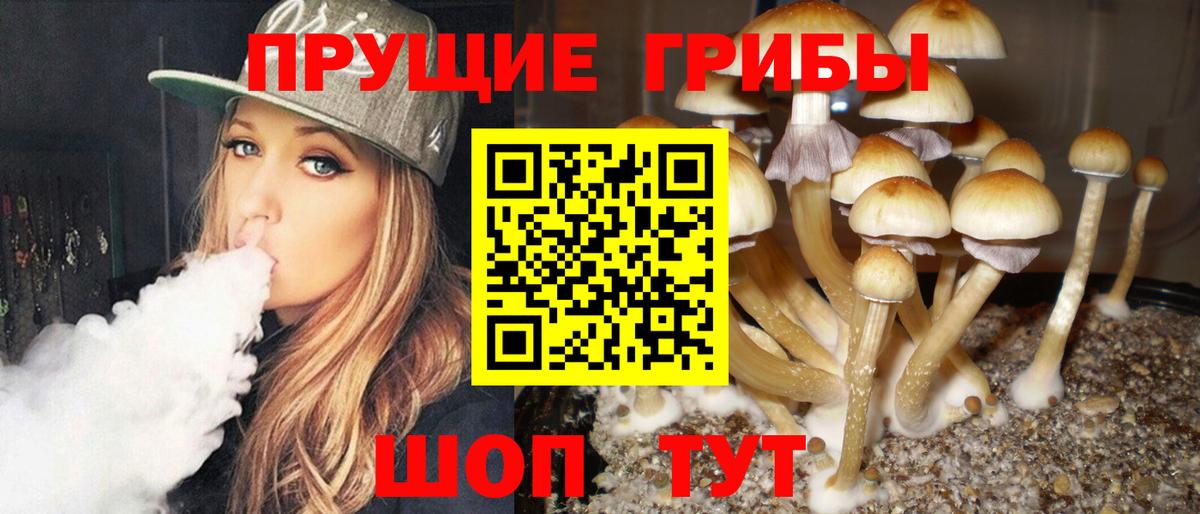 Галлюциногенные грибы Cubensis  Вход с VPN  Псилоцибиновые грибы GOLDEN TEACHER  Новосибирск 